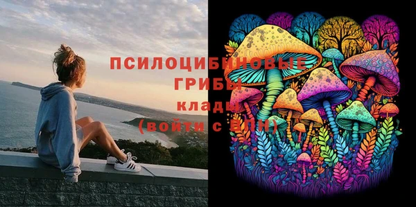 а пвп мука Осташков