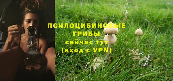 ешки Балабаново