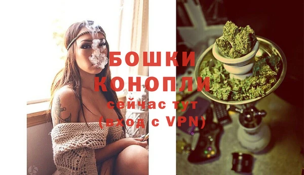 spice Балахна
