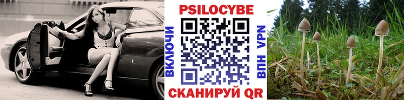Галлюциногенные грибы Psilocybe Белоярский